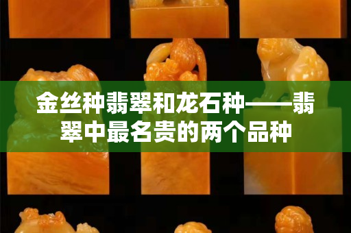 金絲種翡翠和龍石種——翡翠中最名貴的兩個(gè)品種