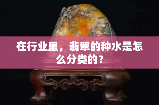 在行業里，翡翠的種水是怎么分類的？