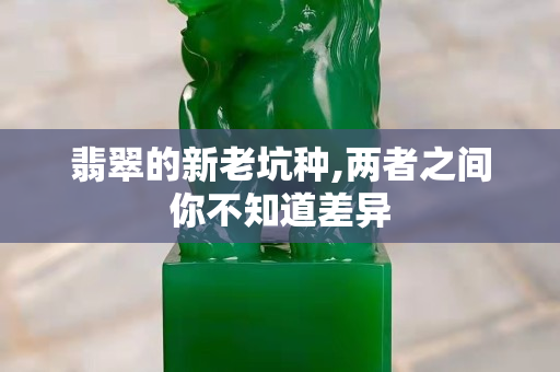 翡翠的新老坑種,兩者之間你不知道差異
