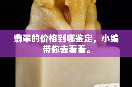 翡翠的價格到哪鑒定，小編帶你去看看。