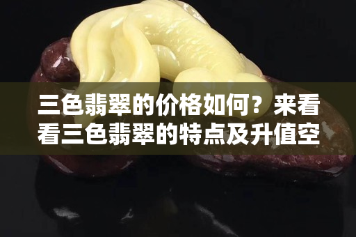 三色翡翠的價格如何？來看看三色翡翠的特點及升值空間