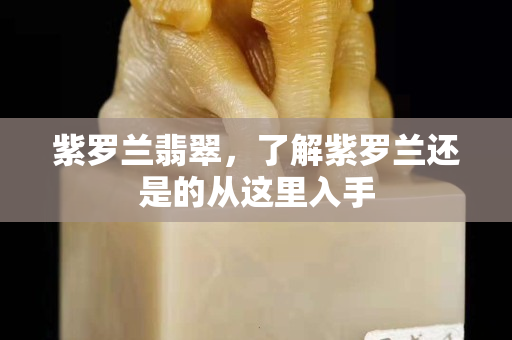 紫羅蘭翡翠，了解紫羅蘭還是的從這里入手