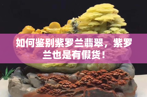 如何鑒別紫羅蘭翡翠，紫羅蘭也是有假貨！