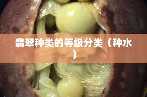 翡翠種類的等級分類（種水）