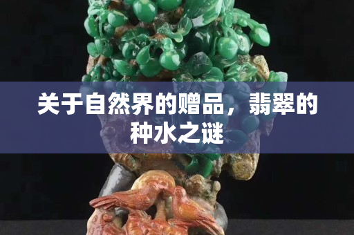 關于自然界的贈品，翡翠的種水之謎