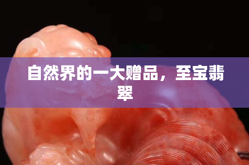 自然界的一大贈品，至寶翡翠