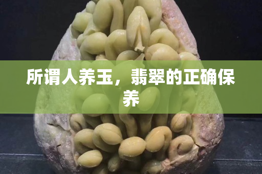 所謂人養玉，翡翠的正確保養