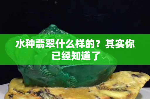 水種翡翠什么樣的？其實你已經知道了
