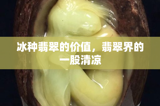 冰種翡翠的價(jià)值，翡翠界的一股清涼