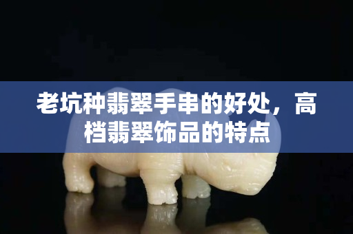 老坑種翡翠手串的好處，高檔翡翠飾品的特點(diǎn)