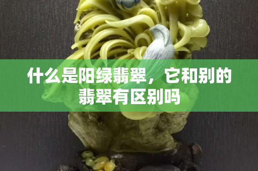 什么是陽(yáng)綠翡翠，它和別的翡翠有區(qū)別嗎