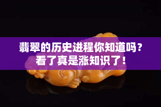 翡翠的歷史進程你知道嗎？看了真是漲知識了！