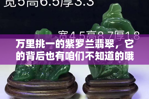 萬(wàn)里挑一的紫羅蘭翡翠，它的背后也有咱們不知道的哦！