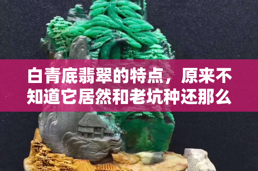 白青底翡翠的特點(diǎn)，原來不知道它居然和老坑種還那么相似