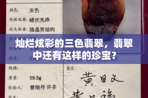 燦爛炫彩的三色翡翠，翡翠中還有這樣的珍寶？