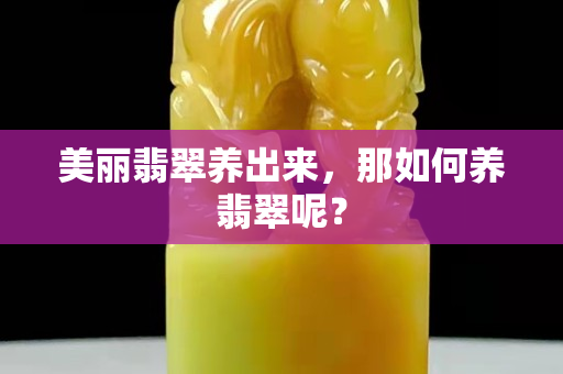 美麗翡翠養(yǎng)出來(lái)，那如何養(yǎng)翡翠呢？