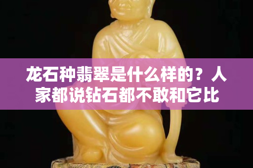 龍石種翡翠是什么樣的？人家都說鉆石都不敢和它比
