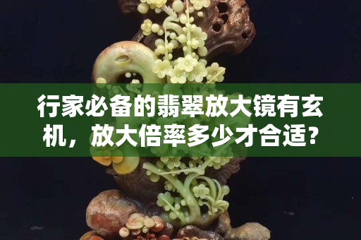 行家必備的翡翠放大鏡有玄機，放大倍率多少才合適？