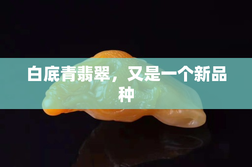 白底青翡翠，又是一個新品種