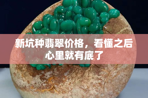 新坑種翡翠價格，看懂之后心里就有底了