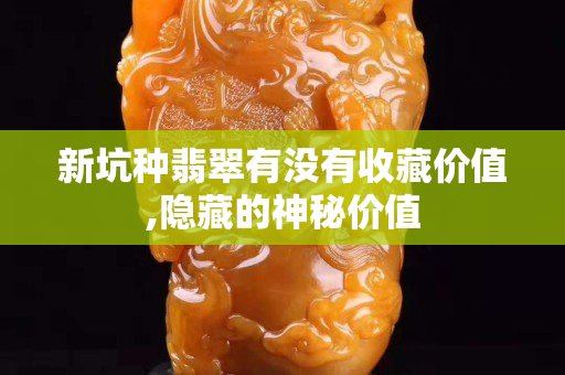 新坑種翡翠有沒有收藏價值,隱藏的神秘價值
