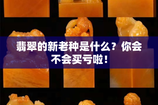 翡翠的新老種是什么？你會不會買虧啦！
