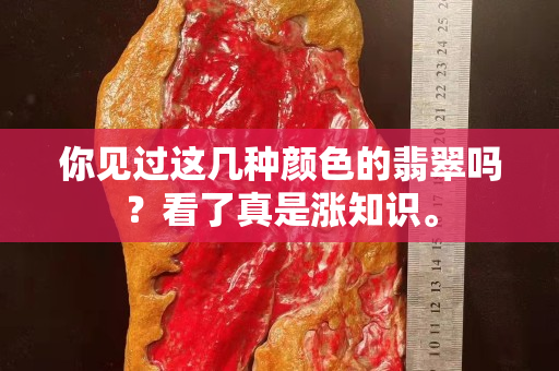 你見過這幾種顏色的翡翠嗎？看了真是漲知識。
