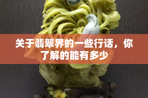 關(guān)于翡翠界的一些行話，你了解的能有多少