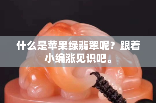 什么是蘋果綠翡翠呢？跟著小編漲見識吧。