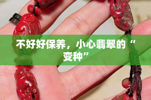 不好好保養，小心翡翠的“變種”
