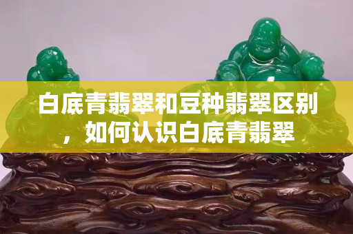 白底青翡翠和豆種翡翠區(qū)別，如何認(rèn)識白底青翡翠