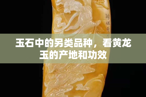 玉石中的另類品種，看黃龍玉的產地和功效