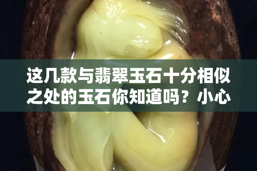 這幾款與翡翠玉石十分相似之處的玉石你知道嗎？小心被濫竽充數(shù)