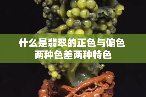 什么是翡翠的正色與偏色 兩種色差兩種特色