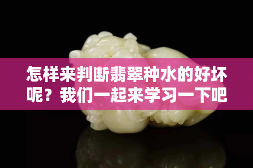 怎樣來判斷翡翠種水的好壞呢？我們一起來學習一下吧
