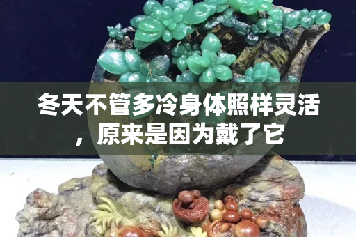 冬天不管多冷身體照樣靈活，原來是因?yàn)榇髁怂? title=