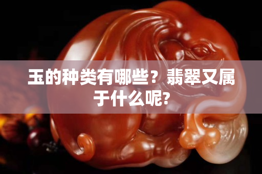 玉的種類有哪些？翡翠又屬于什么呢?