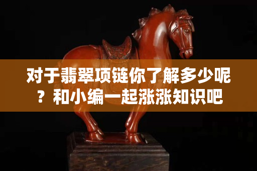 對于翡翠項鏈你了解多少呢？和小編一起漲漲知識吧
