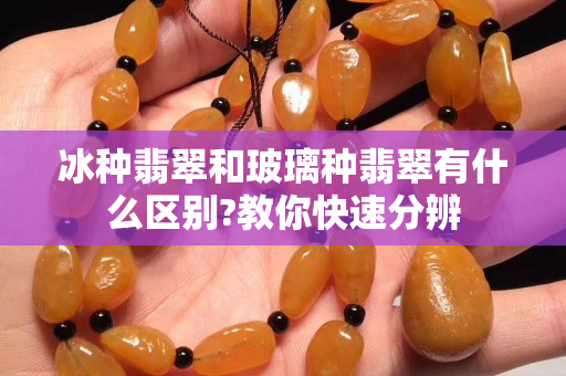 冰種翡翠和玻璃種翡翠有什么區別?教你快速分辨