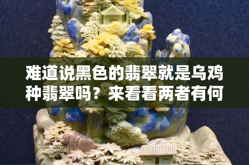 難道說黑色的翡翠就是烏雞種翡翠嗎？來看看兩者有何不同吧