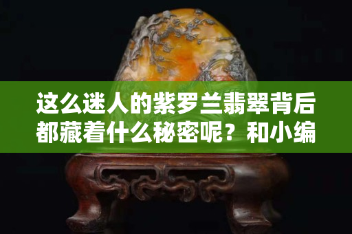 這么迷人的紫羅蘭翡翠背后都藏著什么秘密呢？和小編一起來體會一下它的獨特魅力吧