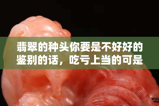 翡翠的種頭你要是不好好的鑒別的話，吃虧上當的可是你哦