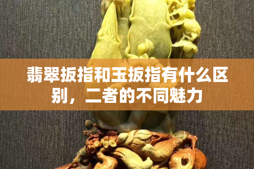 翡翠扳指和玉扳指有什么區(qū)別，二者的不同魅力