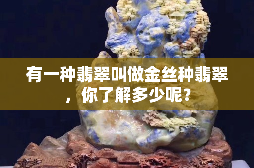 有一種翡翠叫做金絲種翡翠，你了解多少呢？