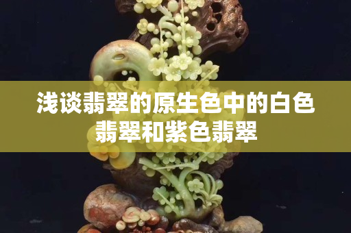 淺談翡翠的原生色中的白色翡翠和紫色翡翠