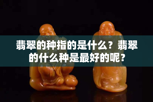 翡翠的種指的是什么？翡翠的什么種是最好的呢？