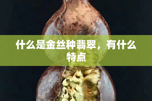 什么是金絲種翡翠，有什么特點