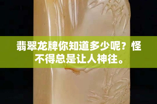 翡翠龍牌你知道多少呢？怪不得總是讓人神往。