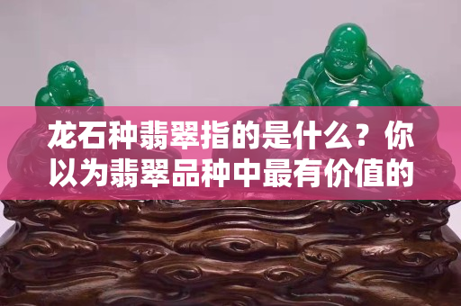 龍石種翡翠指的是什么？你以為翡翠品種中最有價值的是玻璃種？