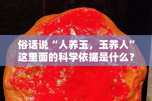 俗話說“人養(yǎng)玉，玉養(yǎng)人”這里面的科學(xué)依據(jù)是什么？